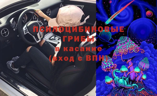 таблы Богородск