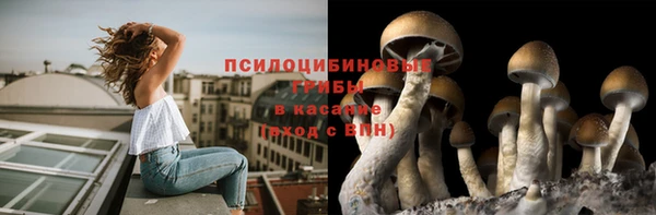 мяу мяу мука Богданович