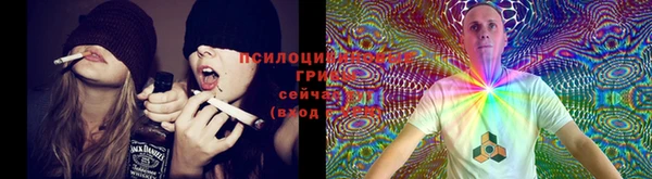 прущие крисы Богородицк