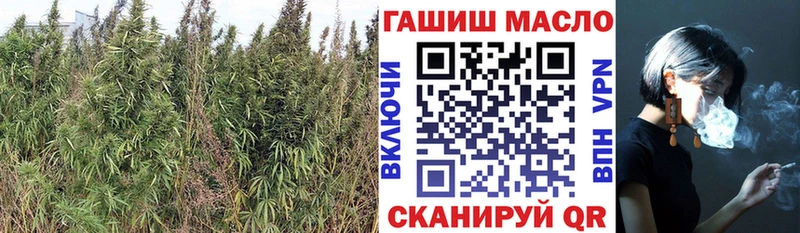 Дистиллят ТГК вейп  Болотное 